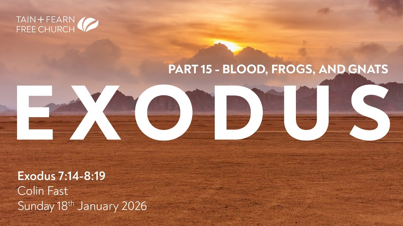 Blood, Frogs, and Gnats - Exodus 7:14 - 8:19