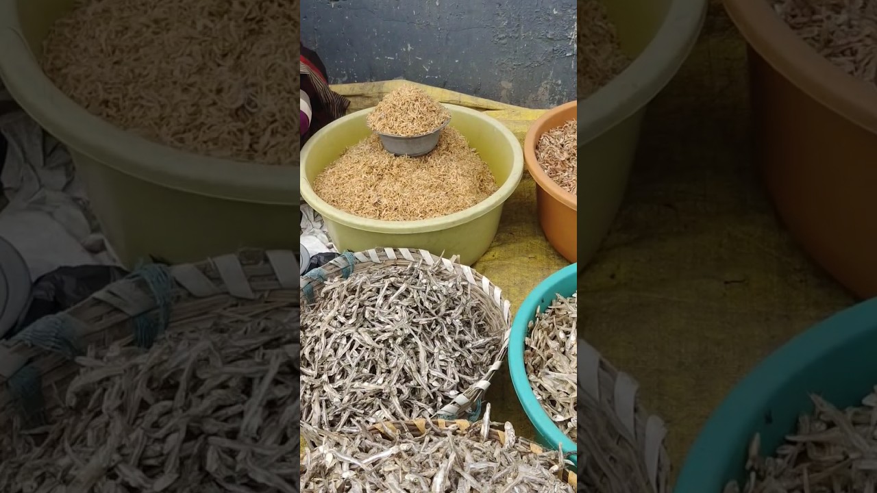dry fish 