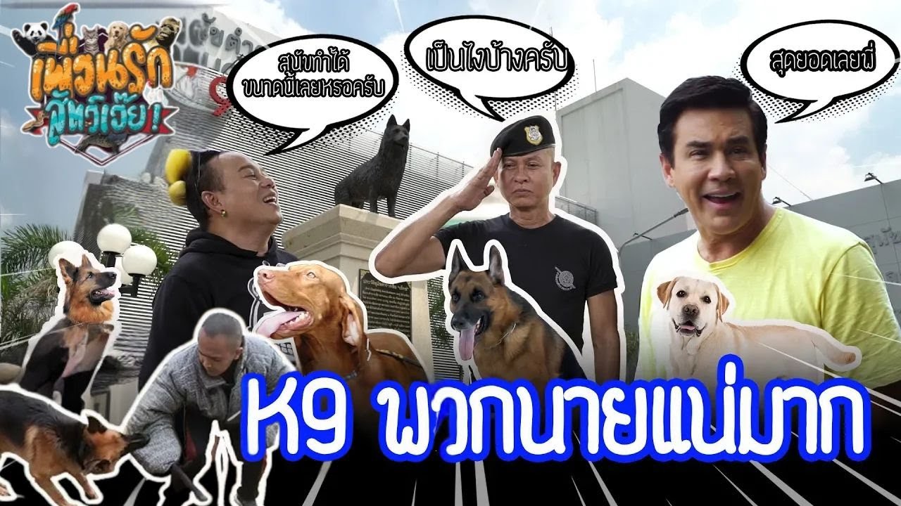K9 ฝึกสุนัขตำรวจ I เพื่อนรักสัตว์เอ๊ย