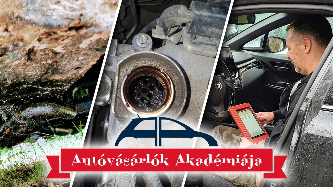 Autóvásárlók Akadémiája 3: Aki megment a szemétre való használt autóktól