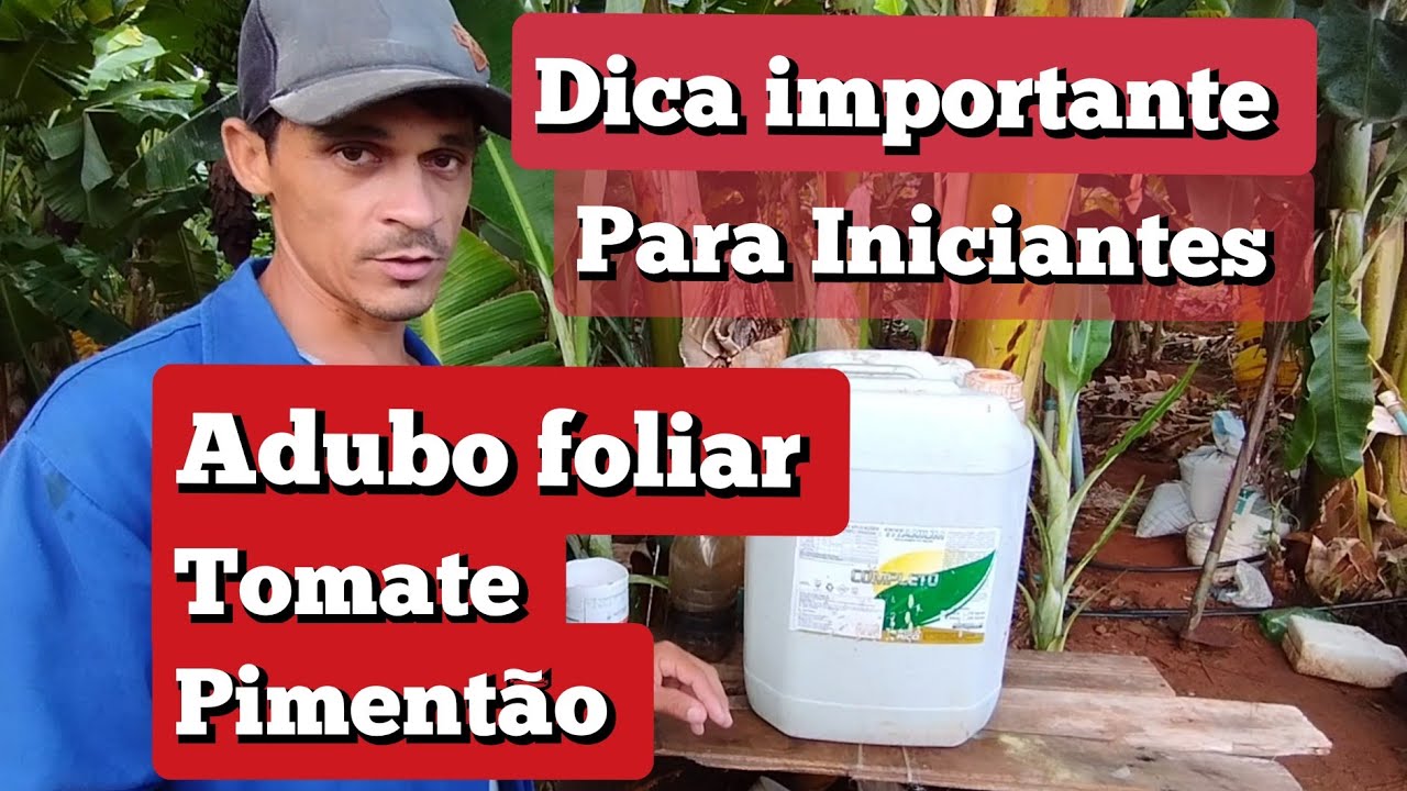 adubo foliar para tomate e pimentão + dicas importante pra iniciantes