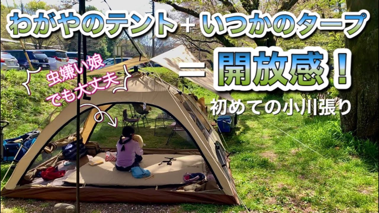 【ファミリーキャンプ】開放感重視スタイルでのんびりデイキャンプ⛺️