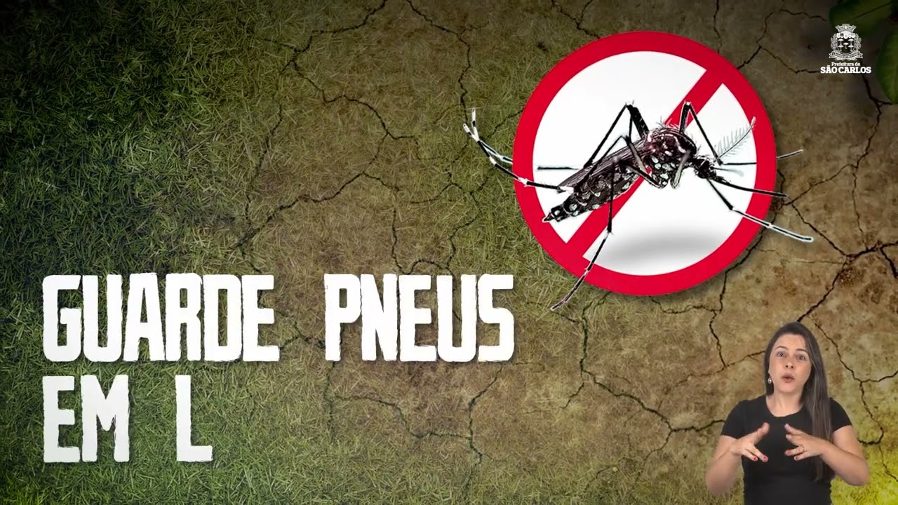 JornalPP - Dengue