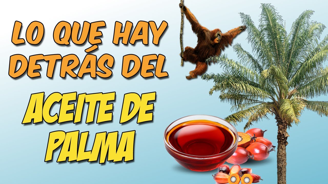 ¿Qué problema hay con el aceite de palma?