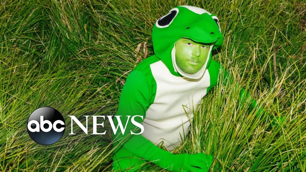 Tik Talk: Therapy Gecko is 'about being a gecko and talking to people on the phone' | ABCNL