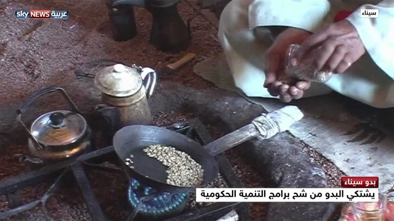 مدرسة لتعليم عادات البدو في سيناء
