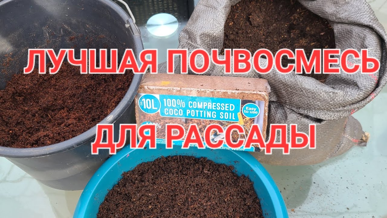 Подготавливаю почвосмесь для рассады семян. 