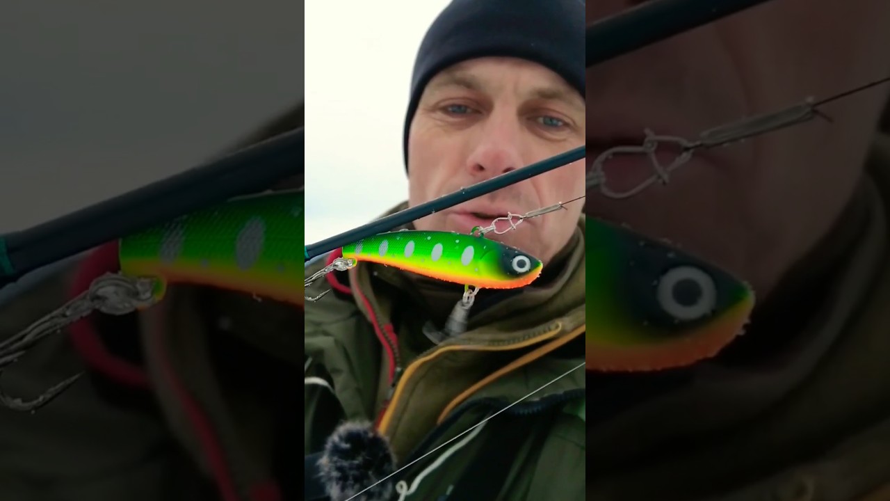 Kai nekimba, tai užtenka ir minutės 😁 #fishing #lydeka #ledas #shorts