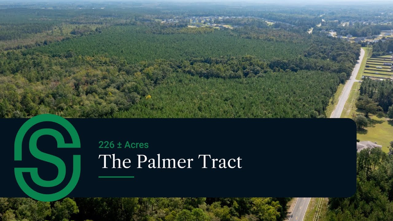 The Palmer Tract &bull; 226&plusmn; Acres Timber & Recreational Land &bull; Long County, Georgia