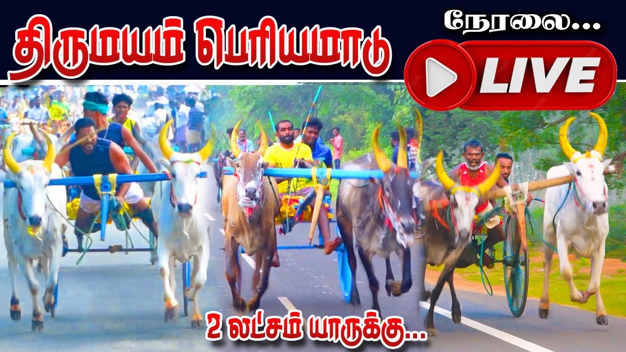 🔴நேரலை திருமயம் பெரியமாடு ksk live 🔴