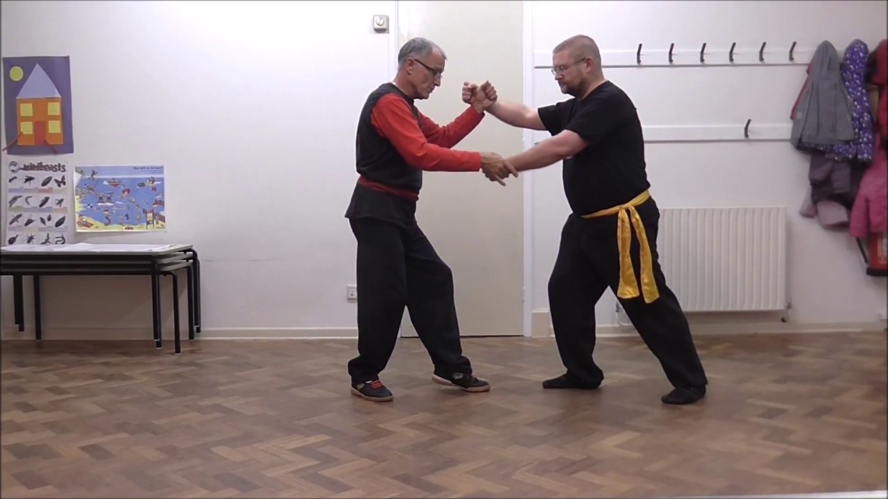 Lesson 13: The Tail of the Peacock: Li (Lee) Family Style T'ai Chi Ch'uan