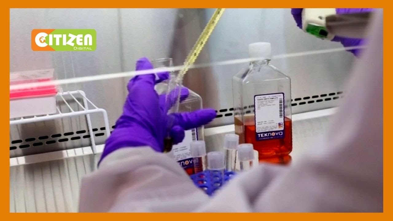 Oxford trial vaccine appears safe, triggers immune response