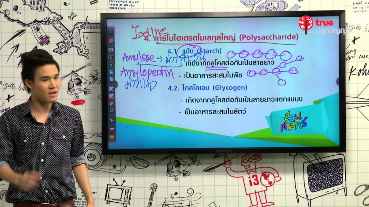 สอนศาสตร์ : ม.ปลาย : ชีววิทยา : ชีวเคมีเบื้องต้น