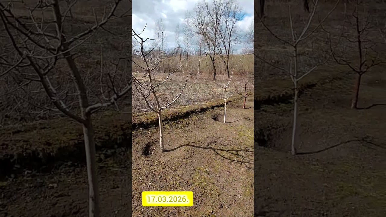 Обробка саду Нордокс і 30В