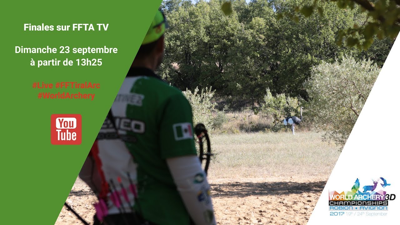 Championnat du monde Tir sur cibles 3D - Avignon