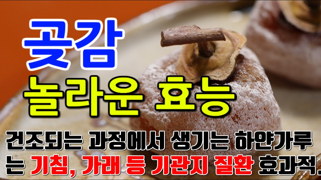 곶감의 놀라운 효능 7가지 & 부작용 / 