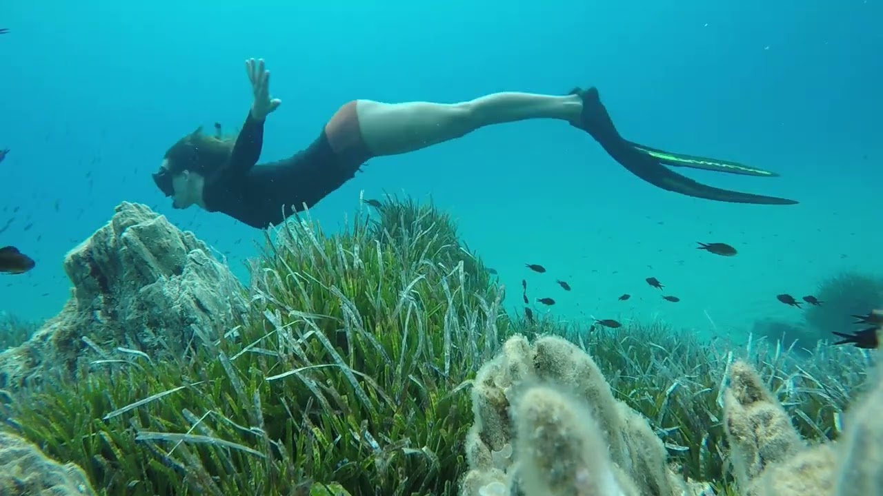 Natural aquarium in Sardinia - Masua  !