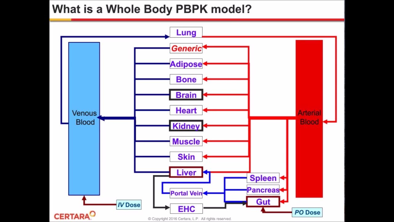 Precision Dosing Using PBPK Modeling