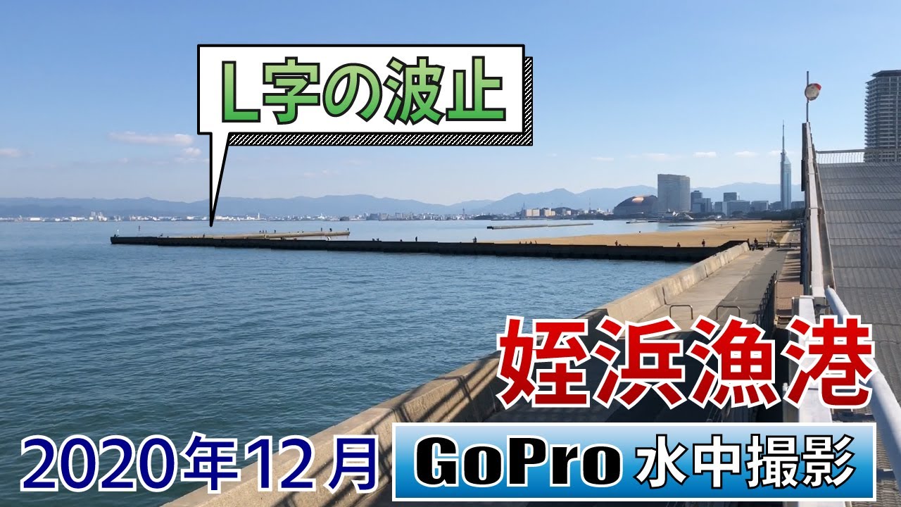 姪浜漁港のL字の波止でGoPro沈めてみた
