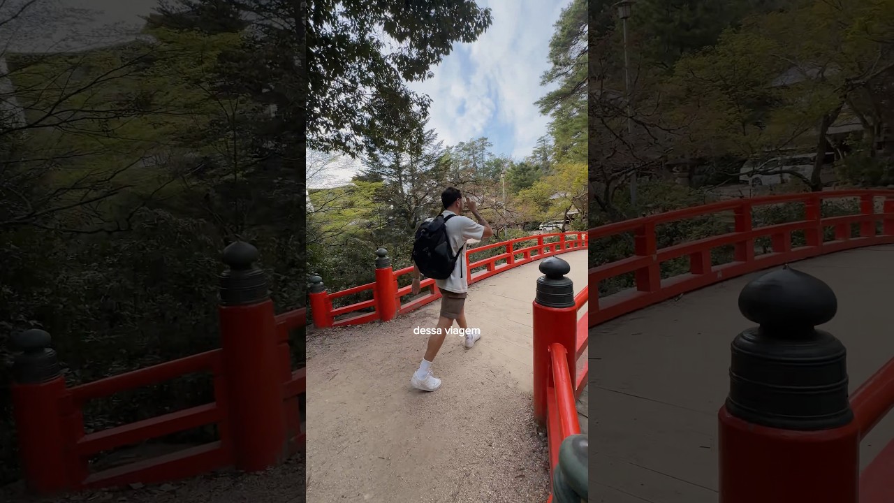 MELHORES PASSEIOS para fazer numa VIAGEM PRO JAPÃO! cupom holafly: GIBASANDES