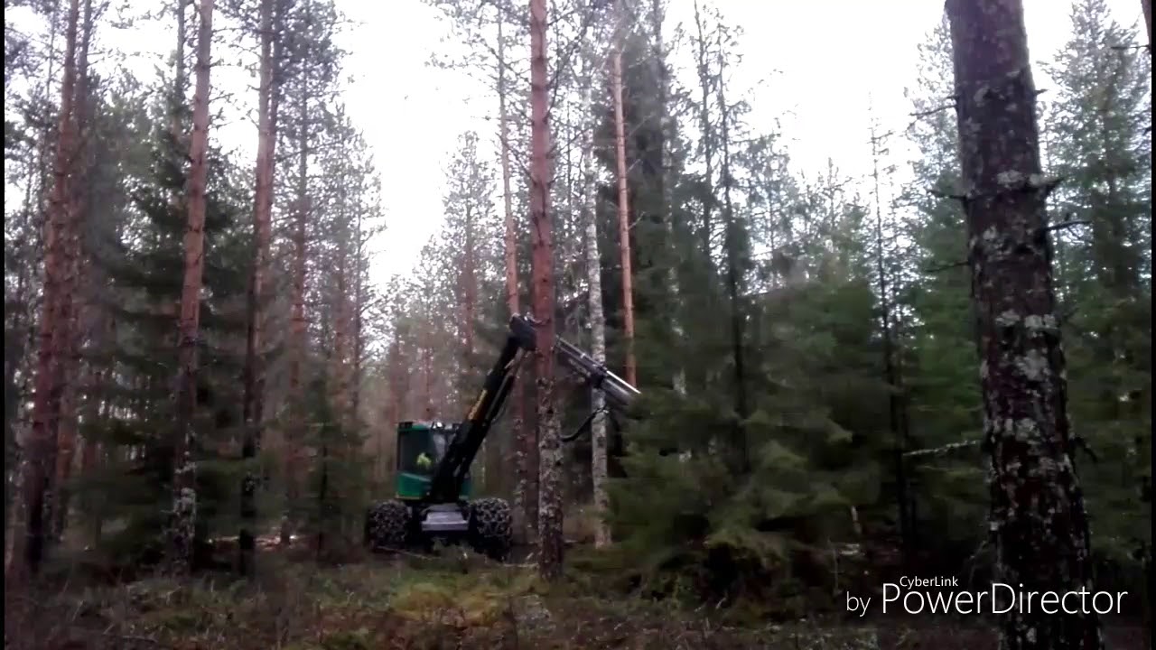 Logman 801H/keto 100