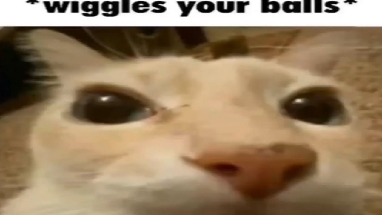 *wiggles your balls* (all versions)