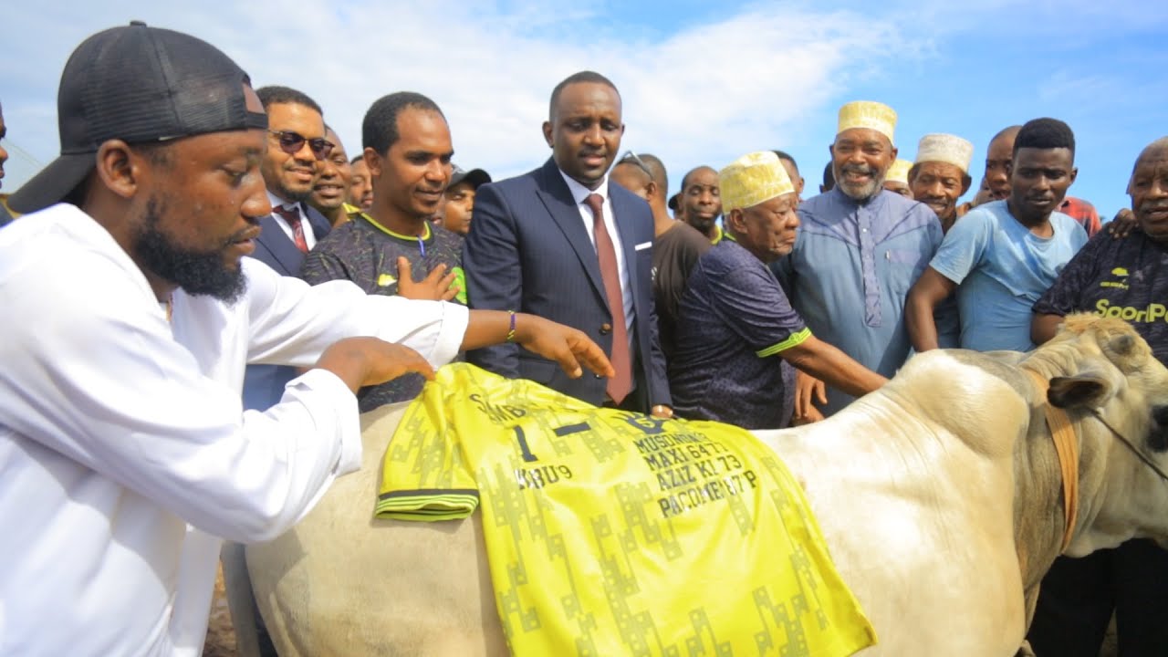 YANGA WAPELEKA NG’OMBE WA MAKONDA ZANZIBAR