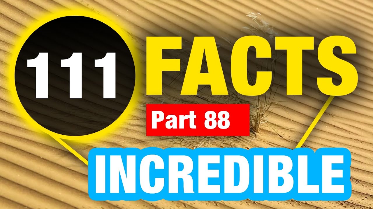 111 Incredibly Interesting Facts | Facts You Never Knew