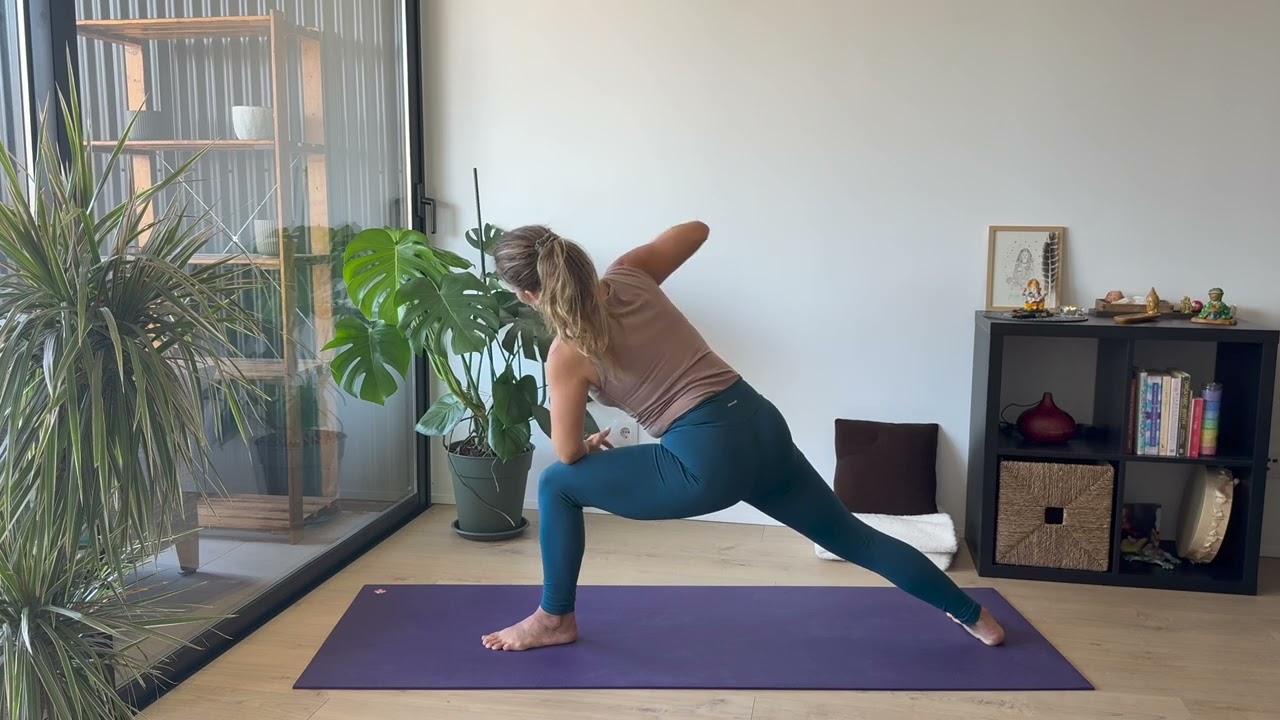 Dia 8 Vinyasa flow
