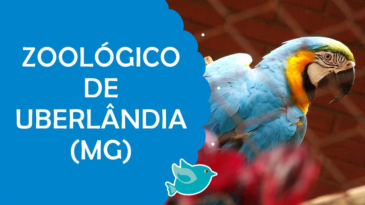 Zoologico de Uberl&acirc;ndia no Parque do Sabi&aacute; | F&ecirc; Rabaglio