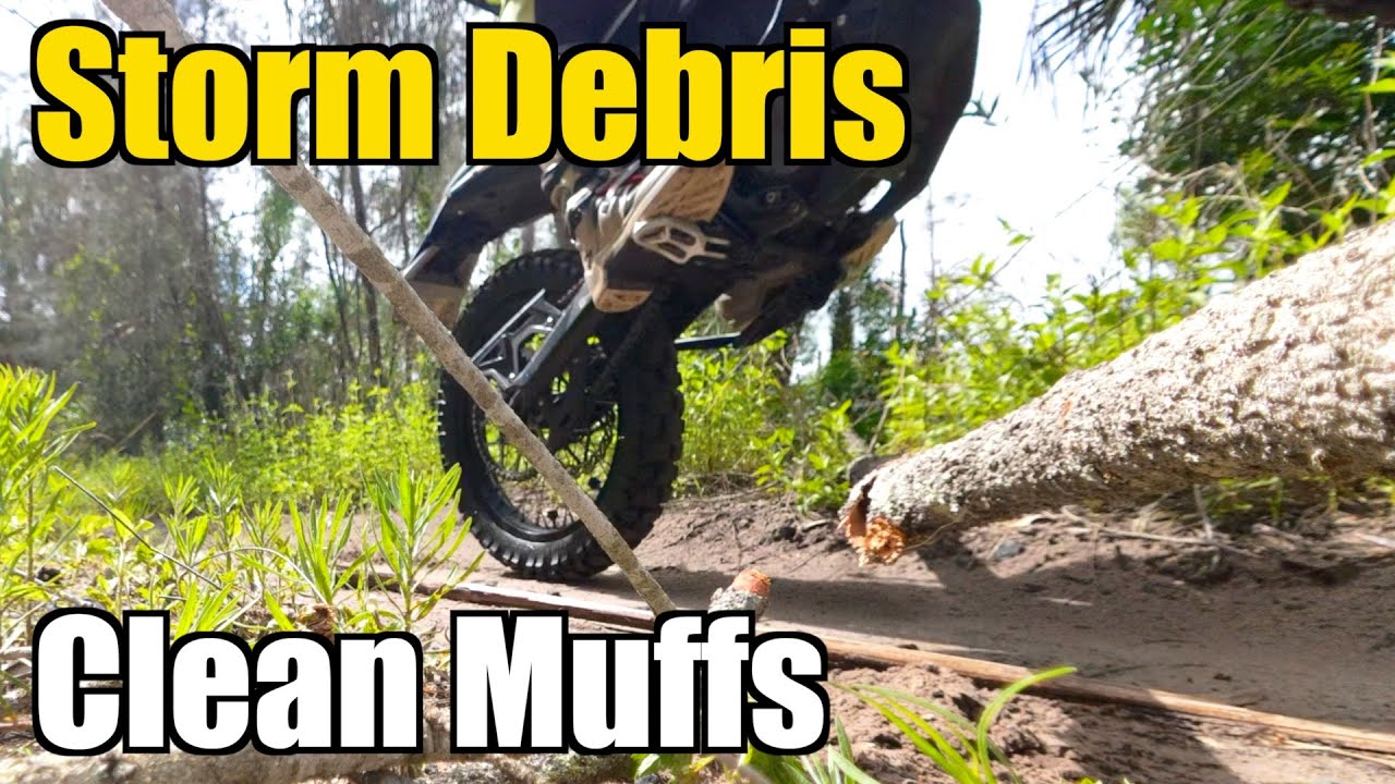 Ultra Bee hopping some logs and saving the world.