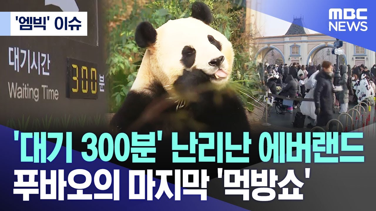 ['엠빅' 이슈] '대기 300분' 난리난 에버랜드..푸바오의 마지막 '먹방쇼' (2024.03.03/엠빅뉴스)