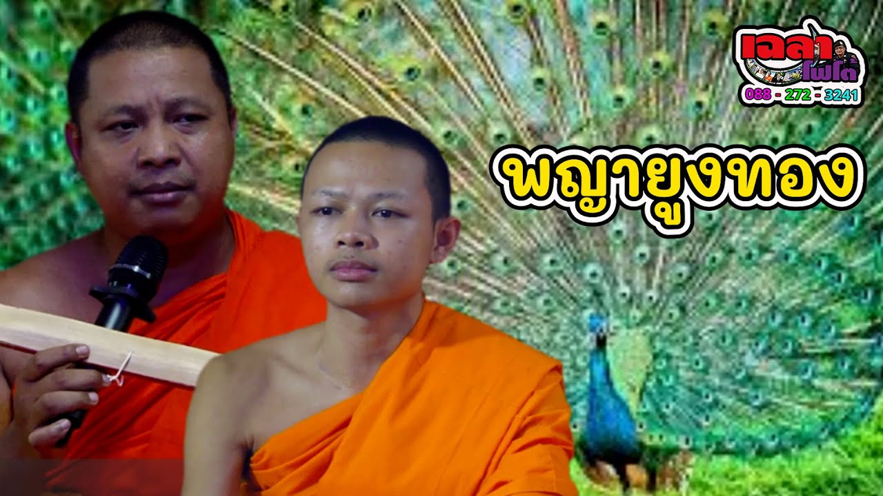 พระปลัดนำบุญ พระพี กิตติพัฒบ์(สณ.พี)  เทศน์แหล่พญายูงทอง