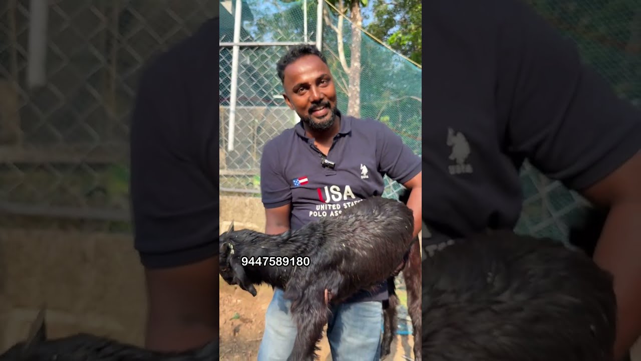 360 രൂപമുതൽ ആട് വിൽക്കുന്ന ഫാം 