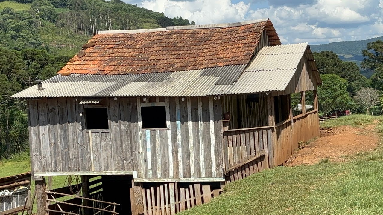20º episódio SALTO VELOSO- A VIDA NA ROÇA COMO ELA É…