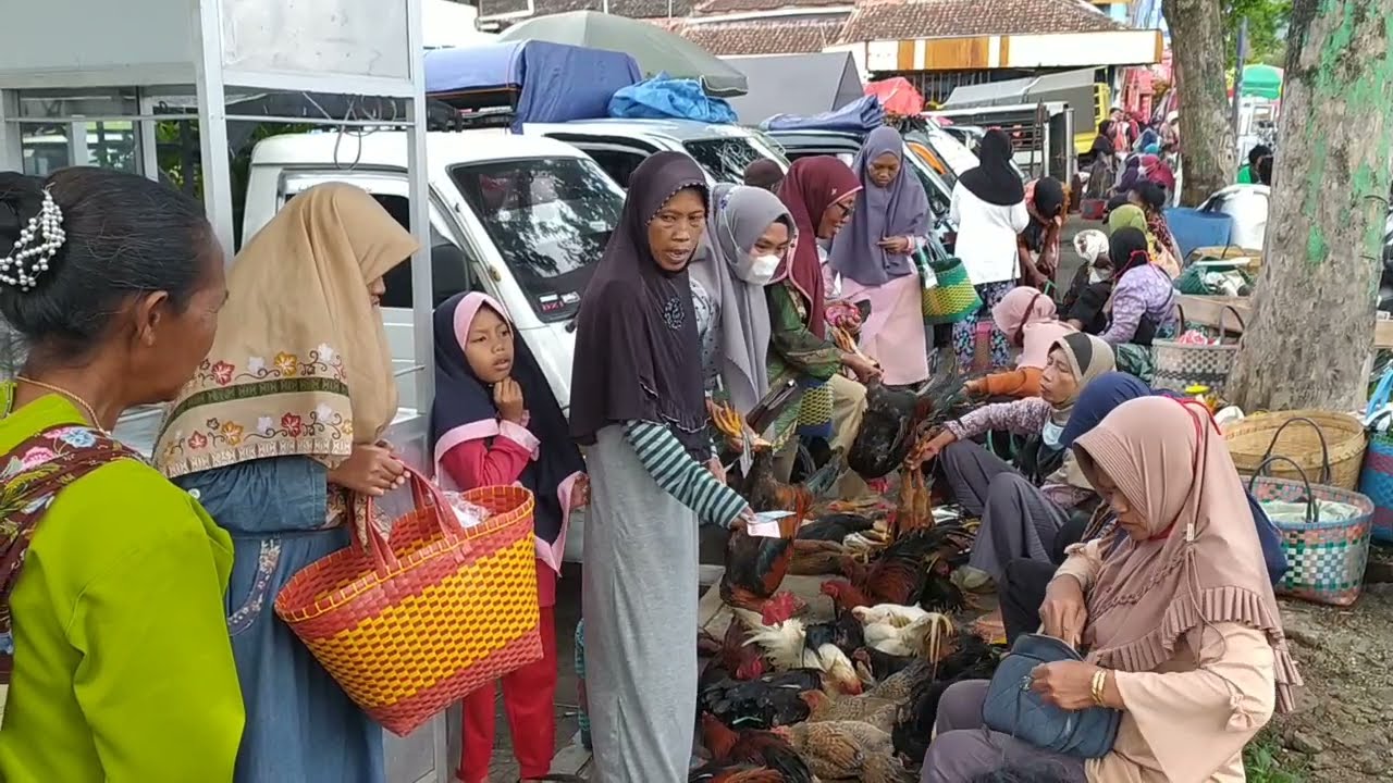 Suasana Orang Beli Ayam Kampung Di Pasar Bulukerto