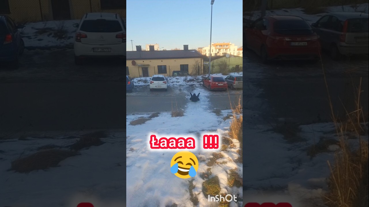 Рекорд был ❗️ #dc #foryou #snow #funny #fyp #foryou #shorts