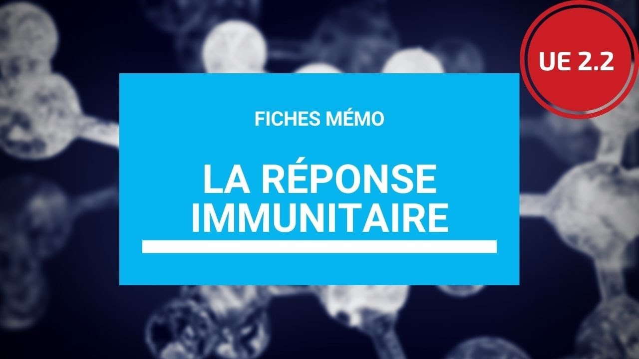 UE 2.4 - La réponse immunitaire