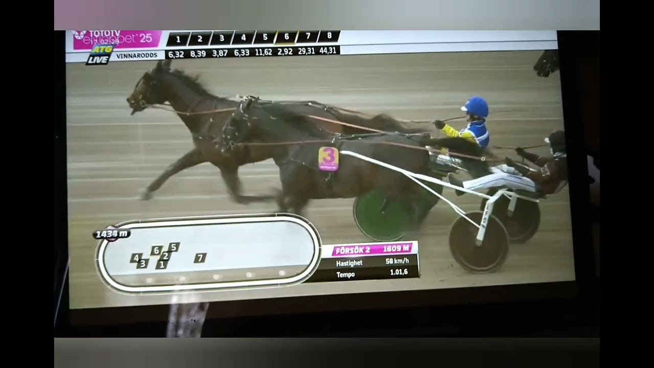 Elitloppet 2025, karsinta 2. Solvalla.  (Toto TV)