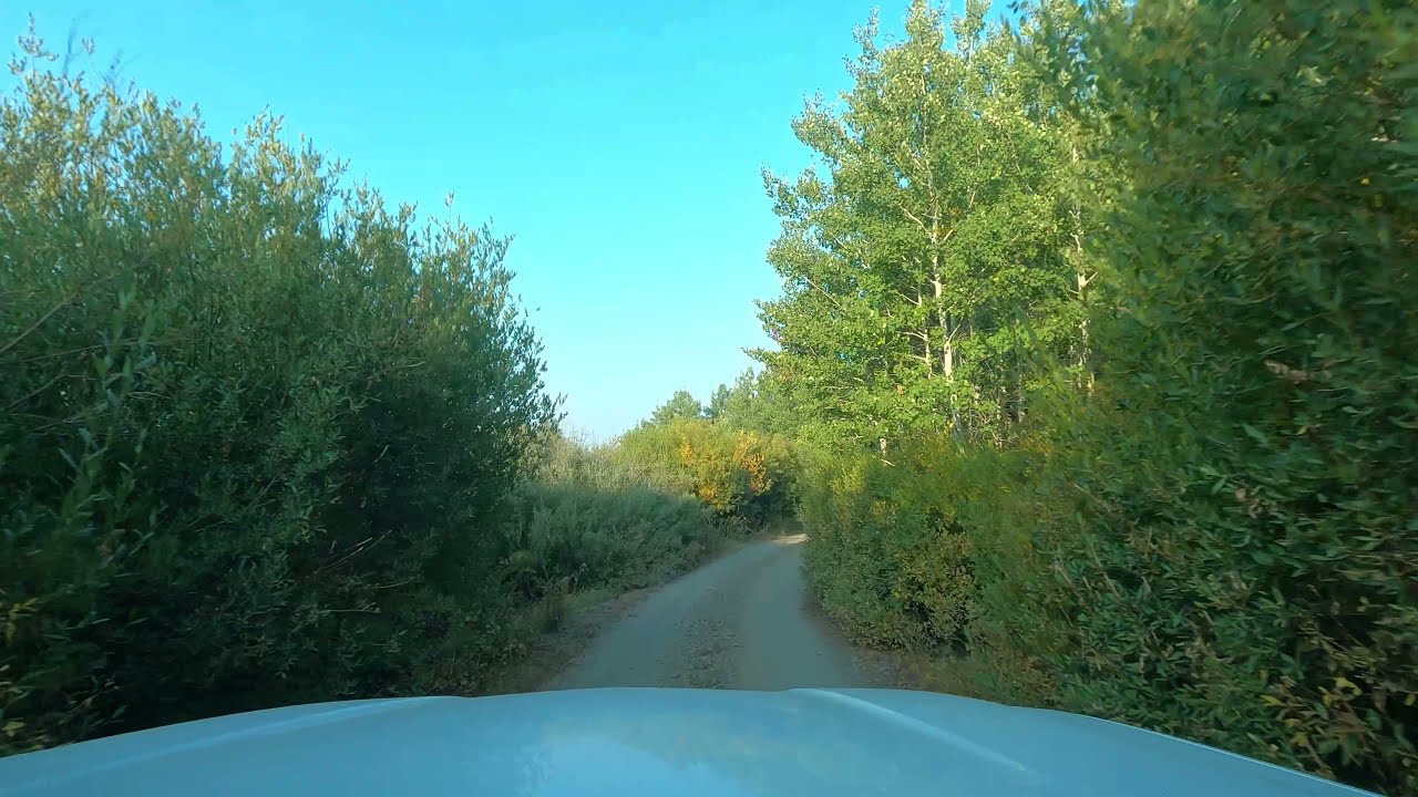 4K Driving from Lily Lake Campground to Fish Lake Campground in the Steen Mountains of Oregon