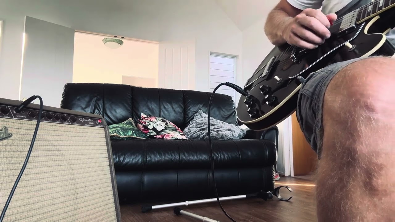 1963 Fender Vibrosonic 6g13-A