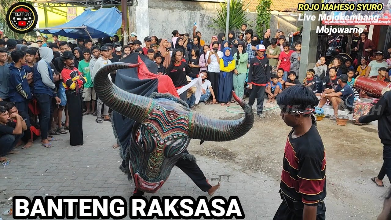 BANTENG RAKSASA - ROJO MAHESO SYURO Live Mojokembang Mojowarno