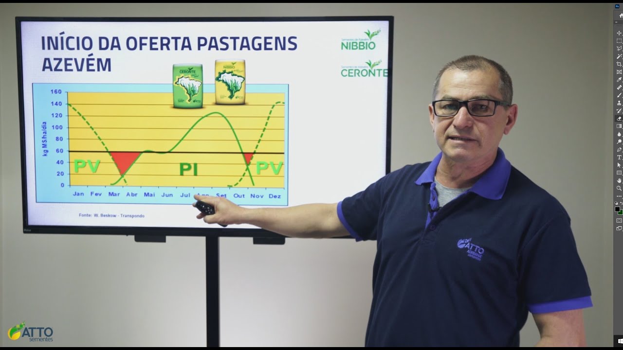Azevém: Condição inicial da pastagem de azevéns e manejo - ATTO Sementes