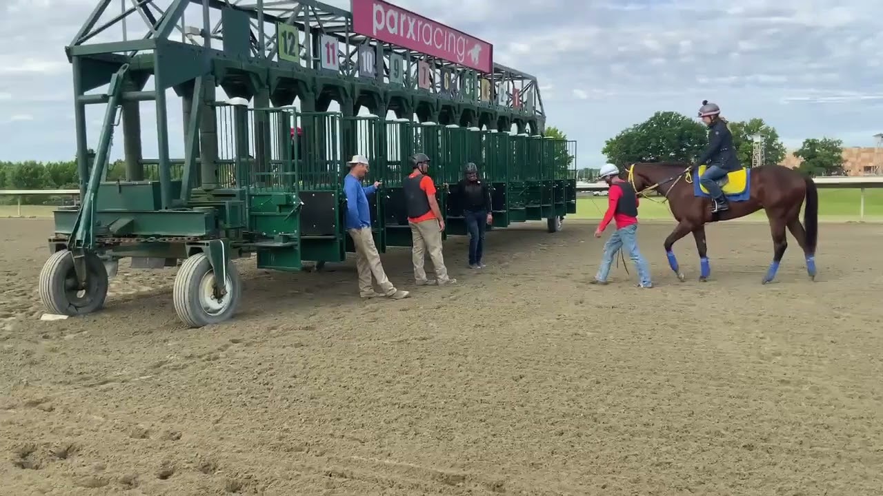 Showtime Matinee and Smile Maker Gate work PARX June 11, 2024