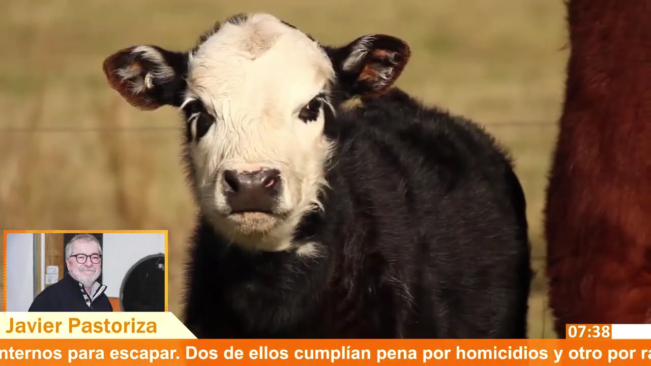 Titulares de Agronegocios en Informativo Sarandí