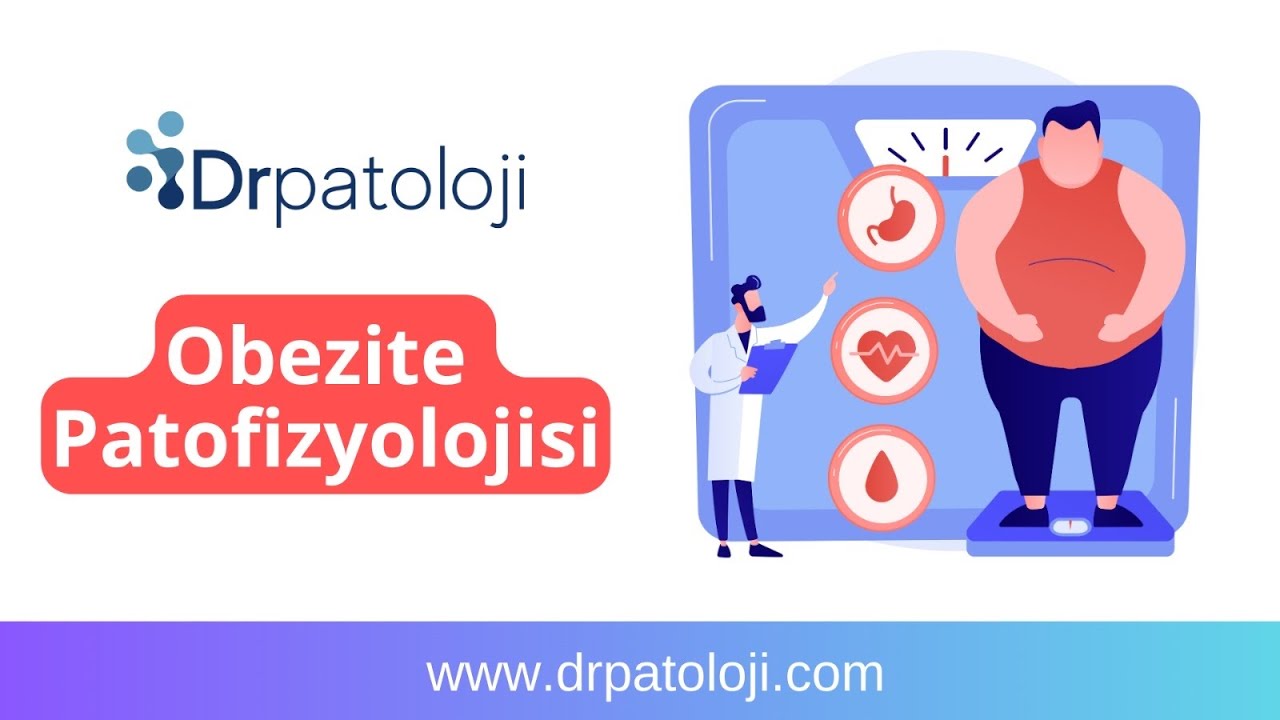 Obezite Patofizyolojisi