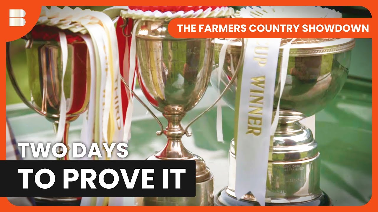 Champion Sheepdog Trials Yorkshire Dales Malpa Show | The Farmers Country Showdown
