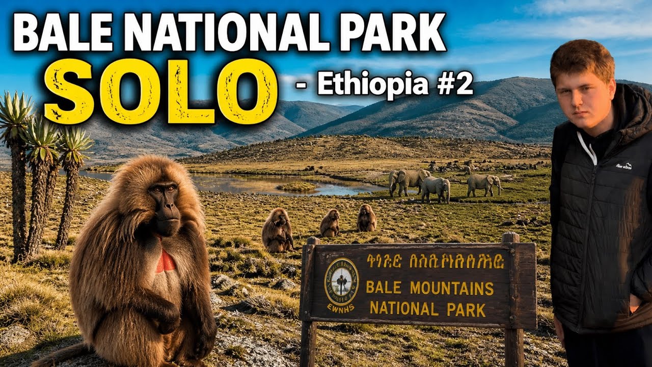 BALE NATIONAL PARK solo - Ethiopia #2