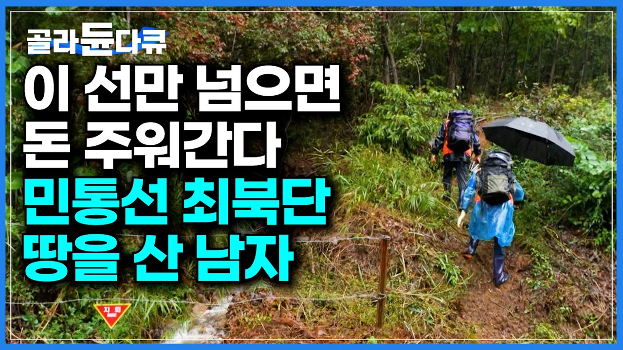 민통선 안에 내 땅이 있다. 꿀에 미쳐 최북단 민간인 출입 통제선 전방에 땅을 샀더니｜사람 손길 거의 닿지 않은 청정 자연 속 토종꿀과 송이버섯｜한국기행｜#골라듄다큐