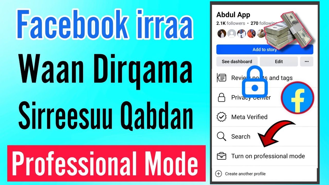 Facebook irraa waan dirqama sirreessuu Qabdan Professional mode